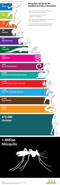 Animals's Infografic