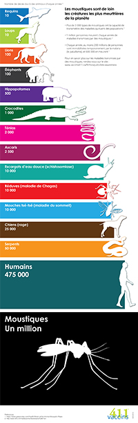 Animals's Infografic