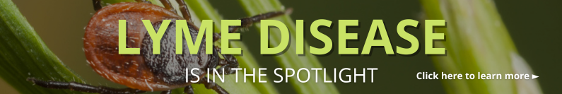 Lyme disease is in the Spotlight