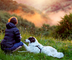 Woman and a dog in the nature