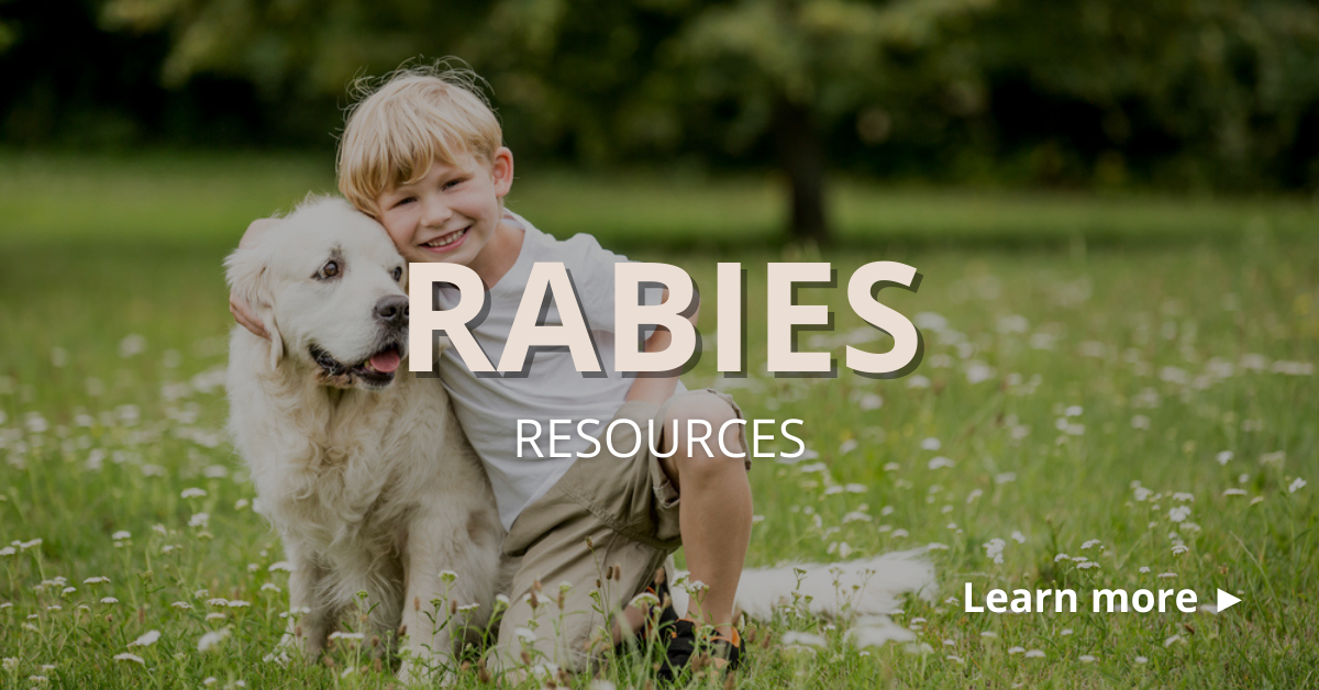Resources  Global Alliance for Rabies Control